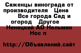 Саженцы винограда от производителя › Цена ­ 800 - Все города Сад и огород » Другое   . Ненецкий АО,Нельмин Нос п.